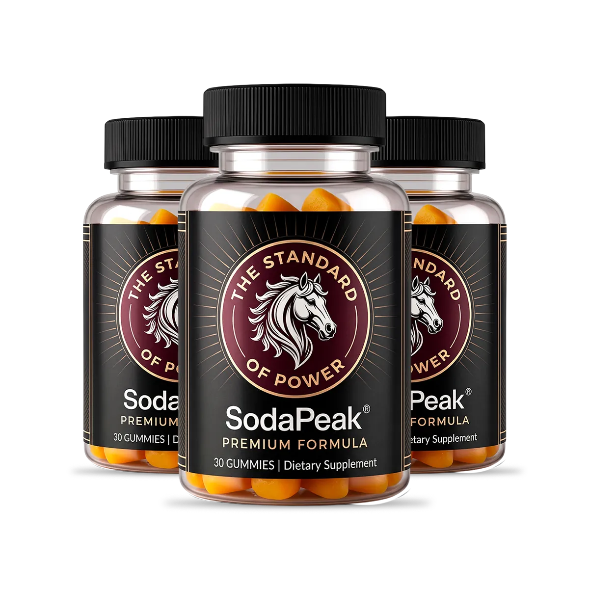 SodaPeak three bottle package