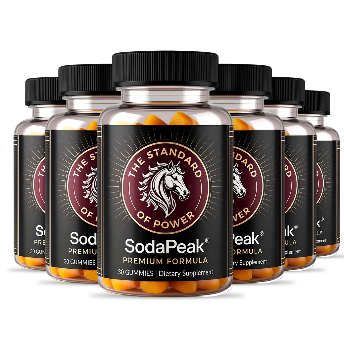 SodaPeak six bottle package